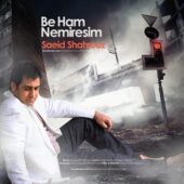 دانلود آهنگ سعید شهروز به هم نمیرسیم